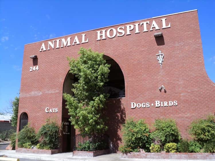 Rainbow Animal Hospital