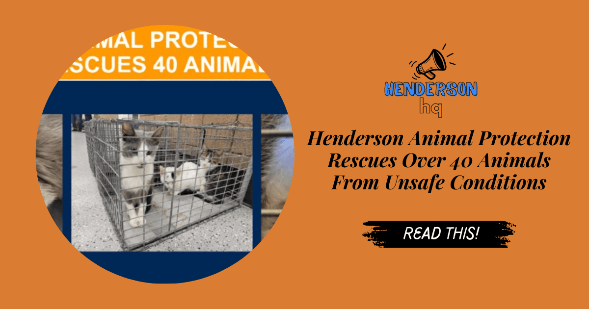 A Second Chance for Henderson’s Most Vulnerable Animals