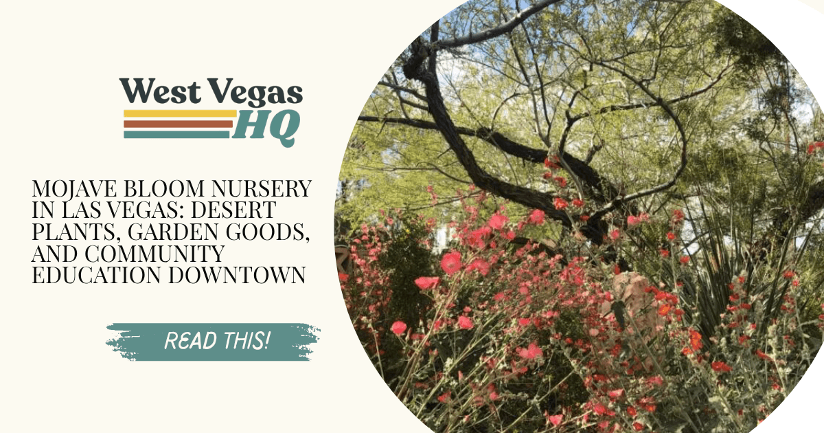 Mojave Bloom Nursery in Las Vegas: Desert Plants, Garden Goods, and Community Education Downtown